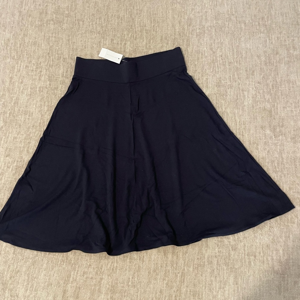 Ann Taylor Navy Mini Skirt